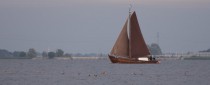 Eemmeer---Vogelkijkhut-396