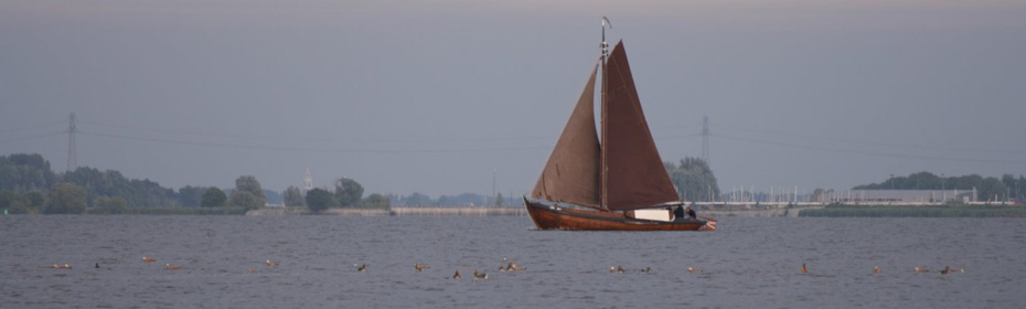 Eemmeer---Vogelkijkhut-396