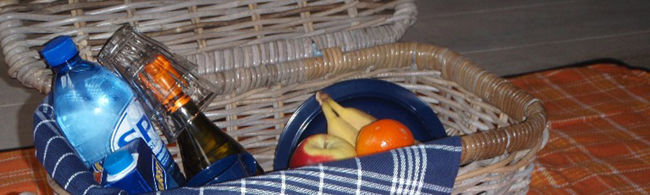 picknickmand-aan-boord